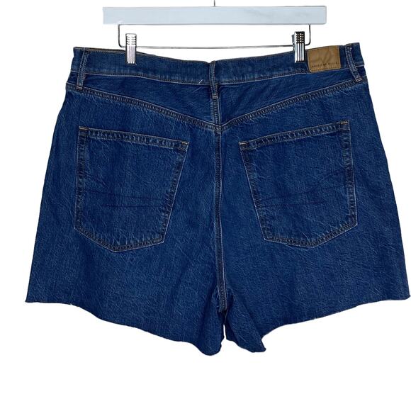 American Eagle Womens Size‎ 18 Highest Rise 90s Boyfriend Shorts Blue Plus - Picture 5 of 8
